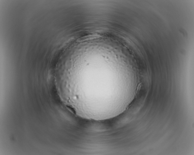 X0000115220284200911121931