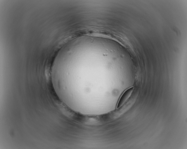 X0000115220285200911121931