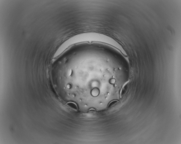 X0000115220286200911121931