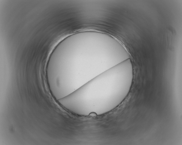 X0000115220289200911121930