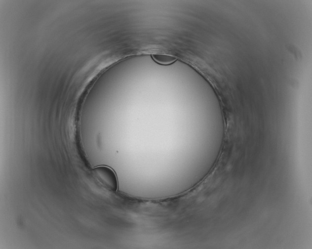 X0000115220290200911121930