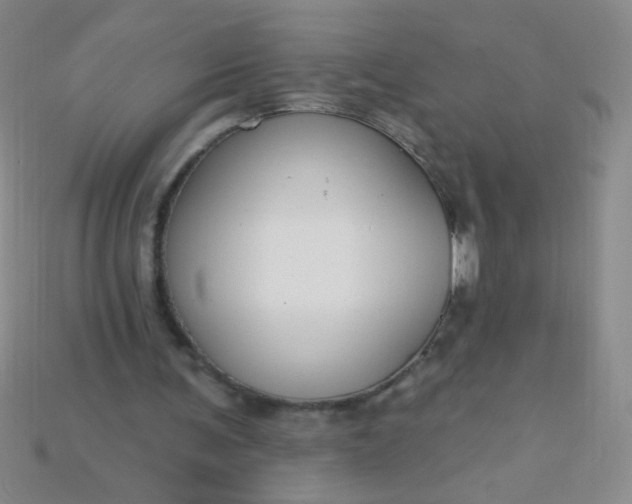 X0000115220291200911121930