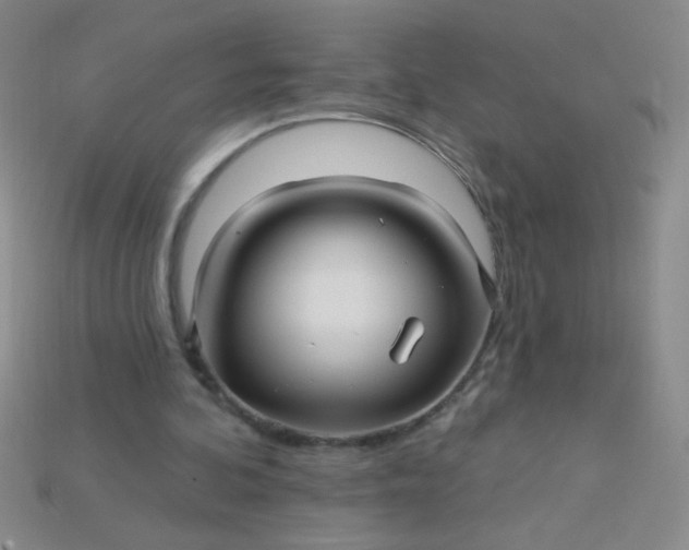 X0000115220292200911121930
