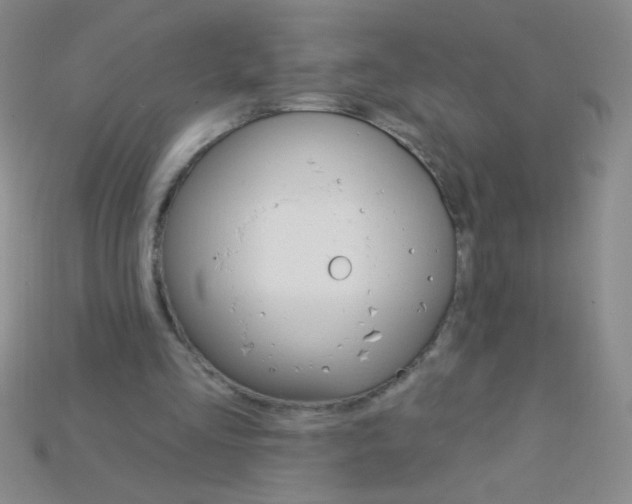 X0000115220293200911121930