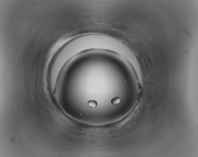 X0000115220294200911121930