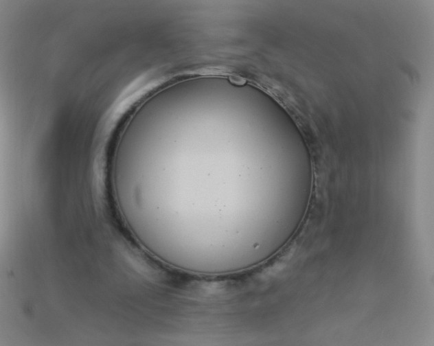 X0000115220295200911121930