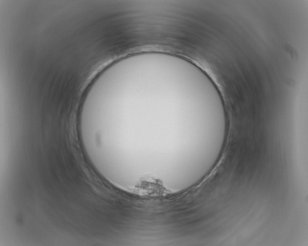 X0000115220297200911121930