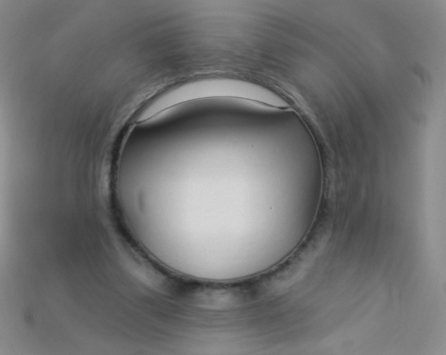 X0000115220299200911121930