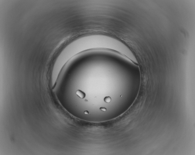 X0000115220304200911121930