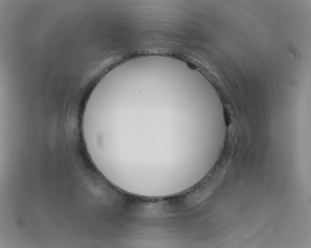 X0000115220306200911121930