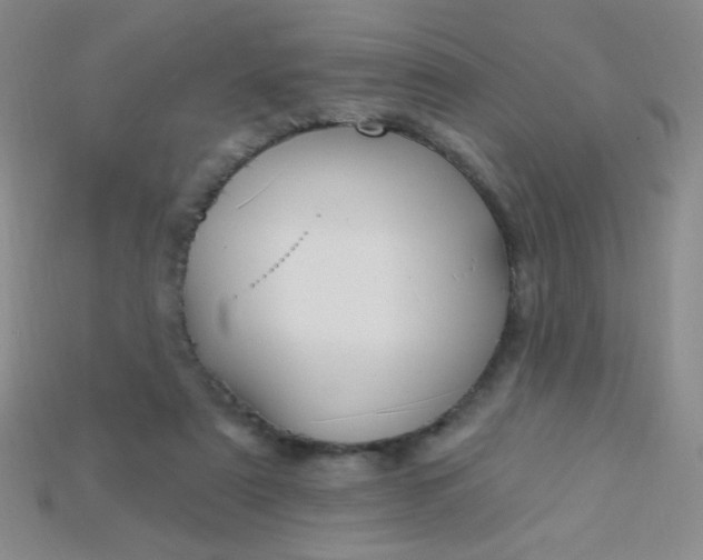 X0000115220307200911121930
