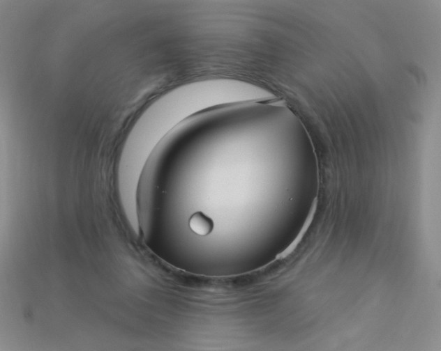 X0000115220308200911121930