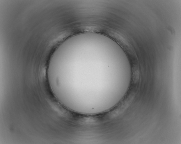 X0000115220310200911121930