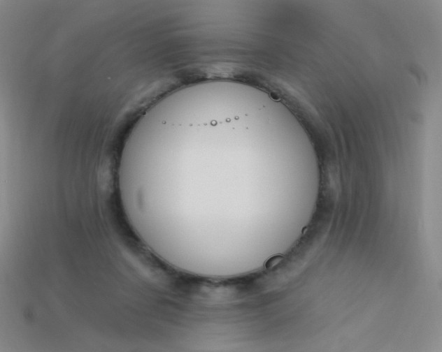 X0000115220311200911121930