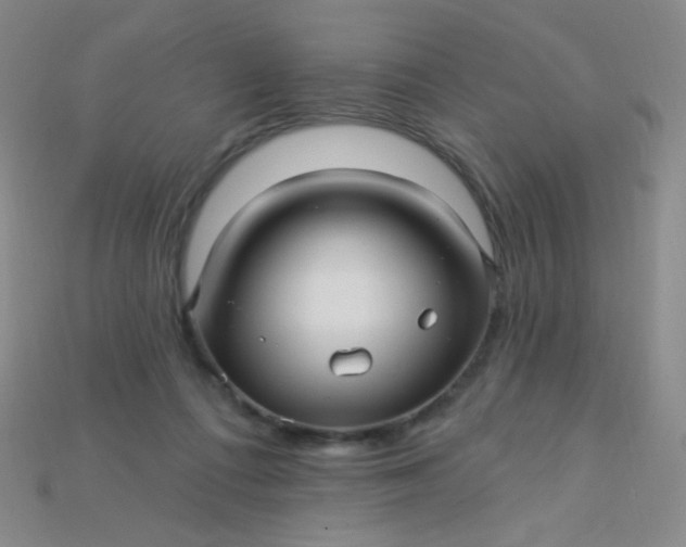 X0000115220312200911121930