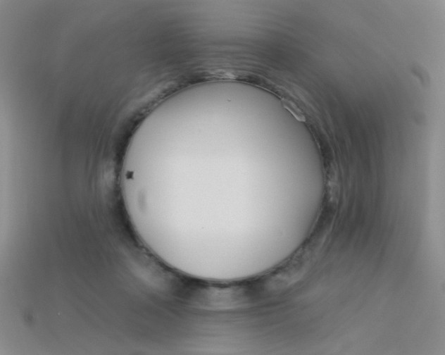 X0000115220314200911121930