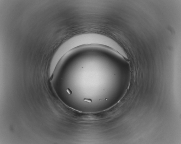 X0000115220316200911121930