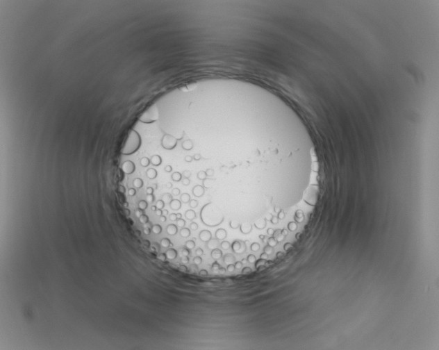 X0000115220317200911121930