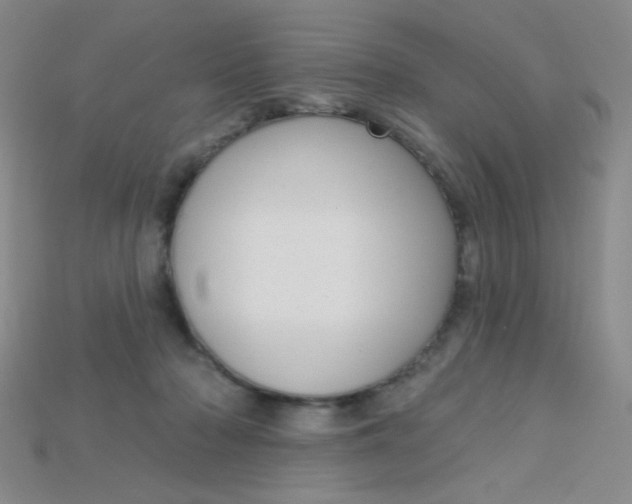 X0000115220318200911121930