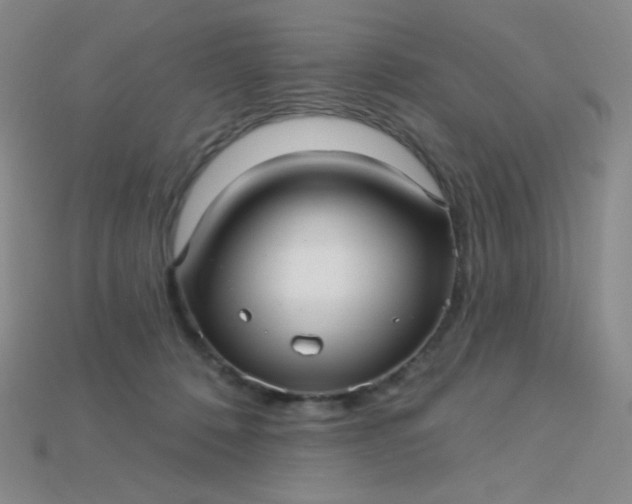 X0000115220320200911121930