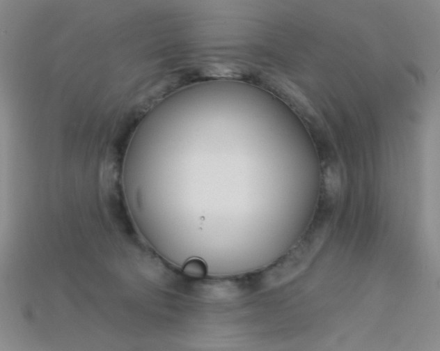 X0000115220322200911121930
