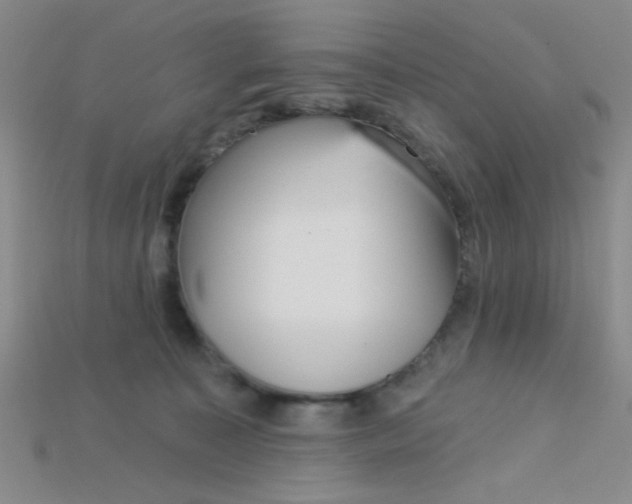 X0000115220323200911121930