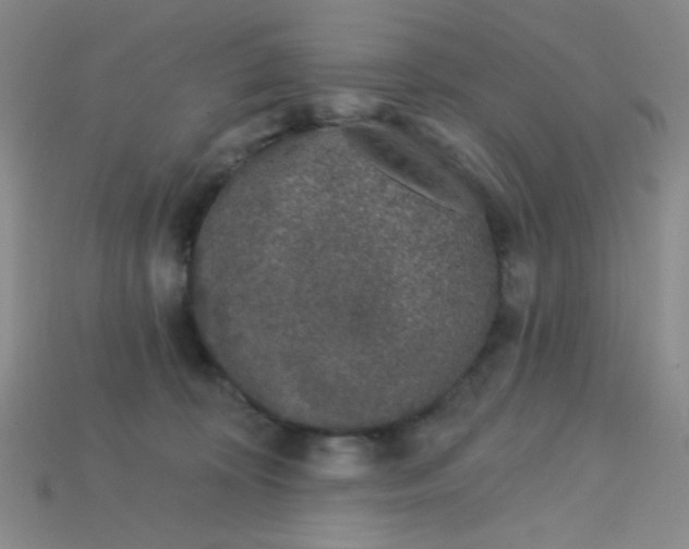 X0000115220324200911121930