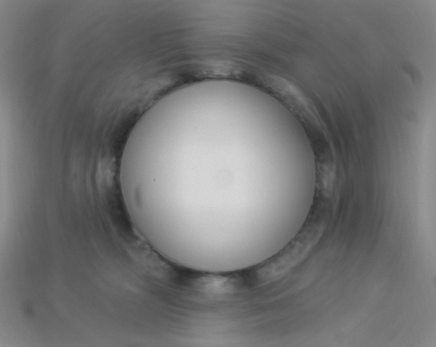 X0000115220326200911121930