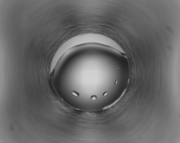 X0000115220328200911121930
