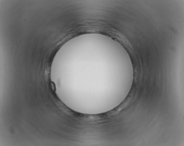 X0000115220329200911121930