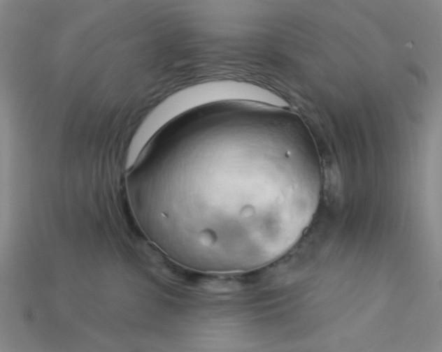 X0000115220331200911121930