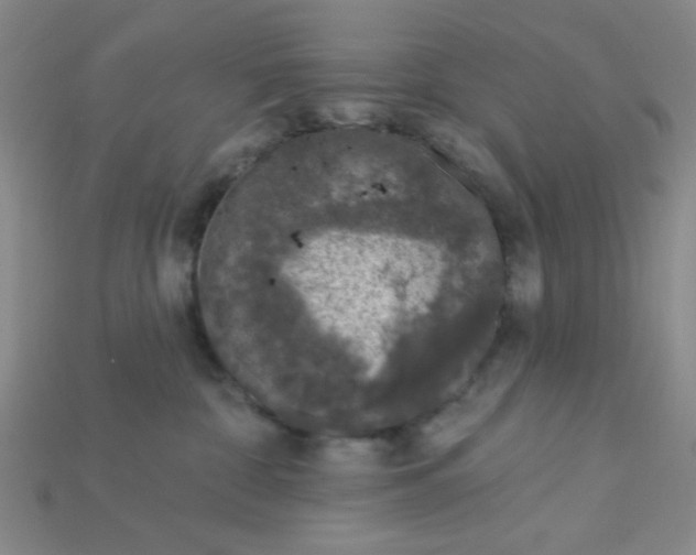 X0000115220332200911121930