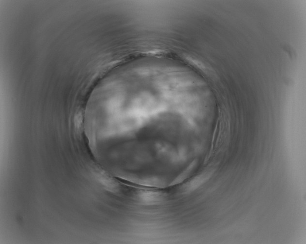 X0000115220336200911121930