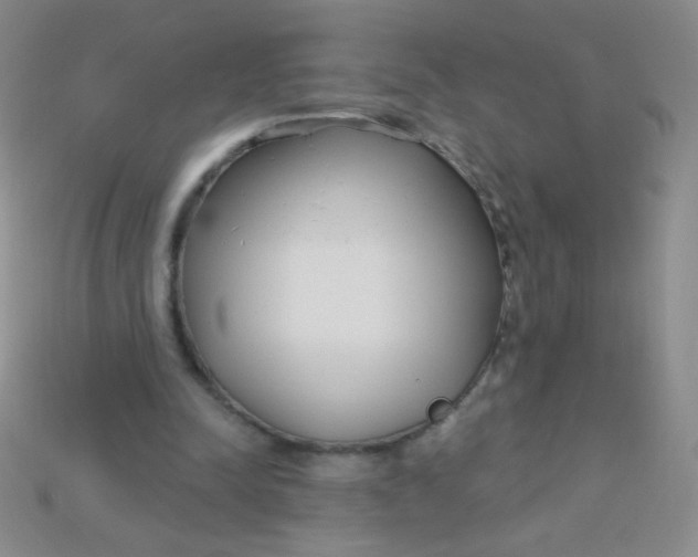 X0000115220342200911121929