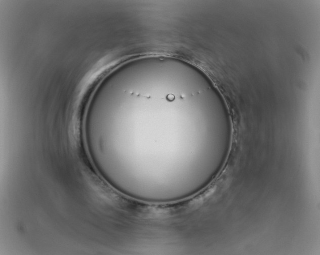 X0000115220343200911121929