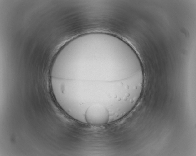 X0000115220345200911121929