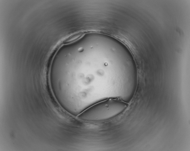 X0000115220346200911121929