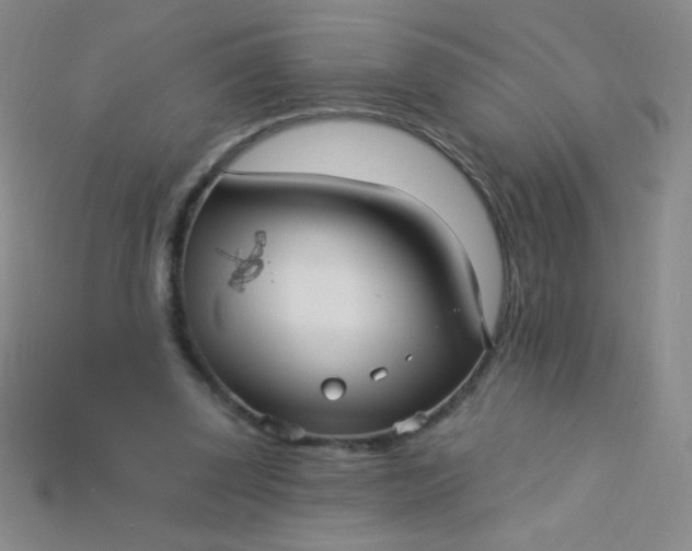 X0000115220347200911121929