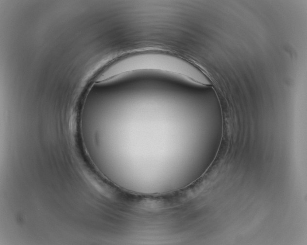 X0000115220350200911121929