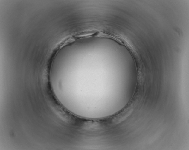 X0000115220354200911121929