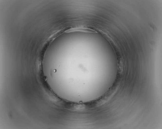 X0000115220355200911121929