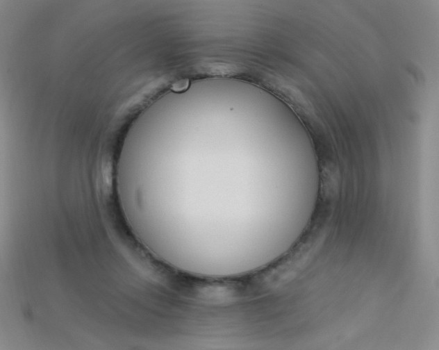 X0000115220358200911121929