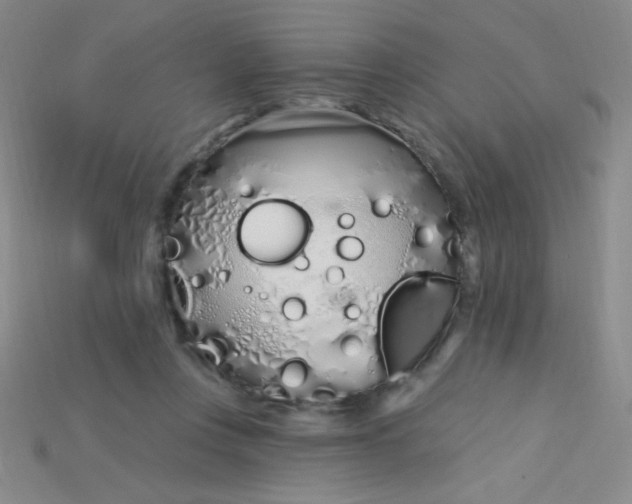 X0000115220359200911121929