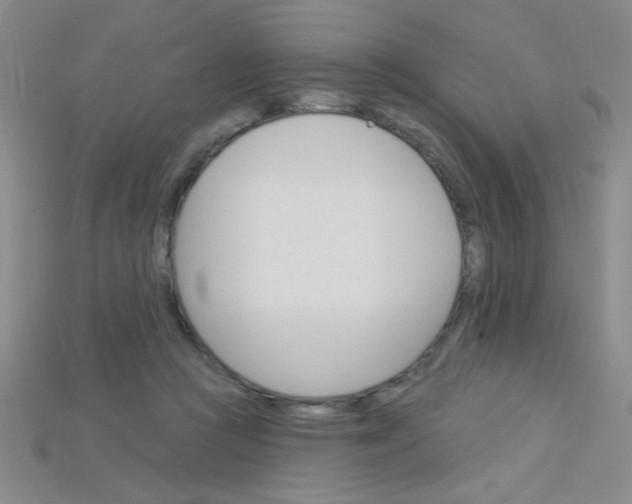 X0000115220361200911121929