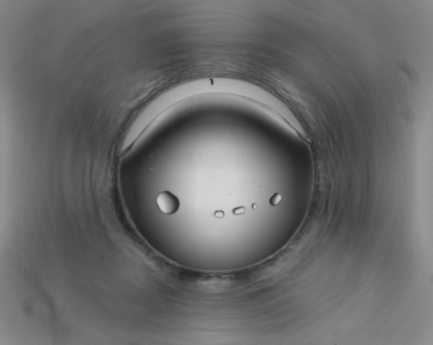 X0000115220362200911121929