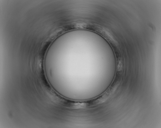 X0000115220363200911121929