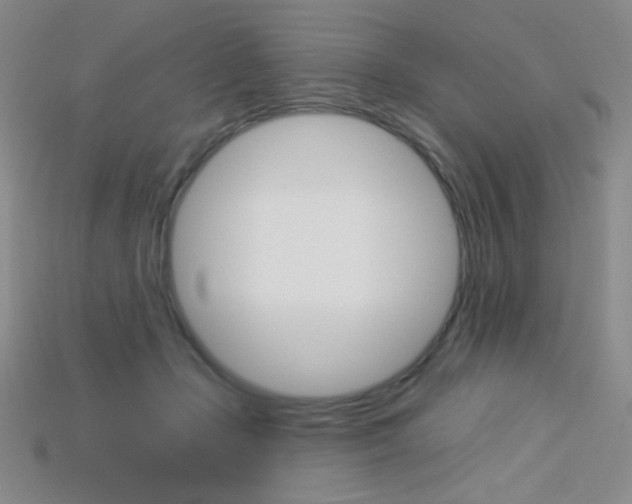 X0000115220365200911121929