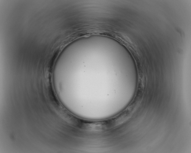 X0000115220366200911121929