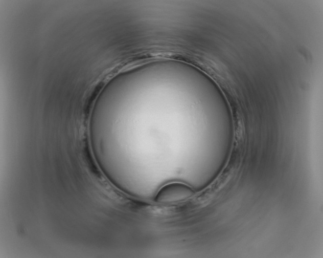 X0000115220367200911121929