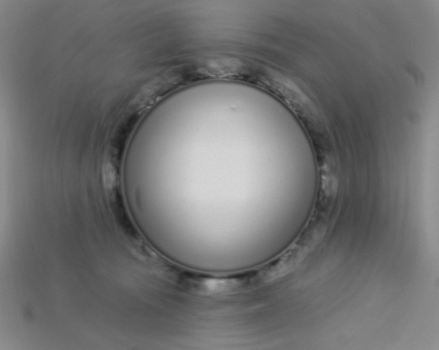 X0000115220371200911121929